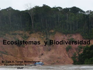 Ecosistemas y Biodiversidad
Br. Luis A. Torres Montenegro
Facultad Ciencias Biológicas
UNAP
 
