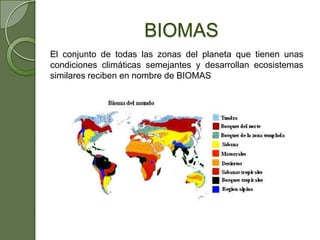 BIOMAS
El conjunto de todas las zonas del planeta que tienen unas
condiciones climáticas semejantes y desarrollan ecosistemas
similares reciben en nombre de BIOMAS
 