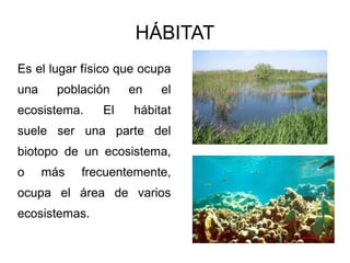 HÁBITAT
Es el lugar físico que ocupa
una     población   en    el
ecosistema.    El    hábitat
suele ser una parte del
biotopo de un ecosistema,
o     más   frecuentemente,
ocupa el área de varios
ecosistemas.
 