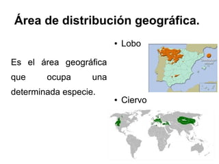 Área de distribución geográfica.
                         ●   Lobo

Es el área geográfica
que     ocupa      una
determinada especie.
                         ●   Ciervo
 