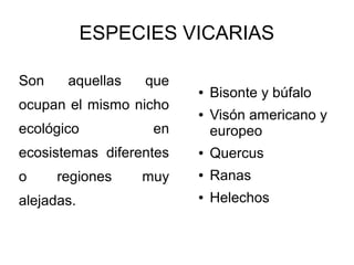 ESPECIES VICARIAS

Son    aquellas   que
                         ●   Bisonte y búfalo
ocupan el mismo nicho
                         ●   Visón americano y
ecológico          en        europeo
ecosistemas diferentes   ●   Quercus
o     regiones    muy    ●   Ranas
alejadas.                ●   Helechos
 