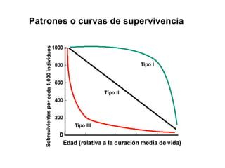 Patrones o curvas de supervivencia
 