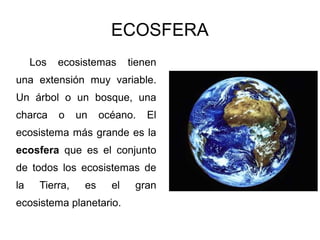 ECOSFERA
     Los   ecosistemas       tienen
una extensión muy variable.
Un árbol o un bosque, una
charca     o    un    océano.    El
ecosistema más grande es la
ecosfera que es el conjunto
de todos los ecosistemas de
la    Tierra,    es     el    gran
ecosistema planetario.
 