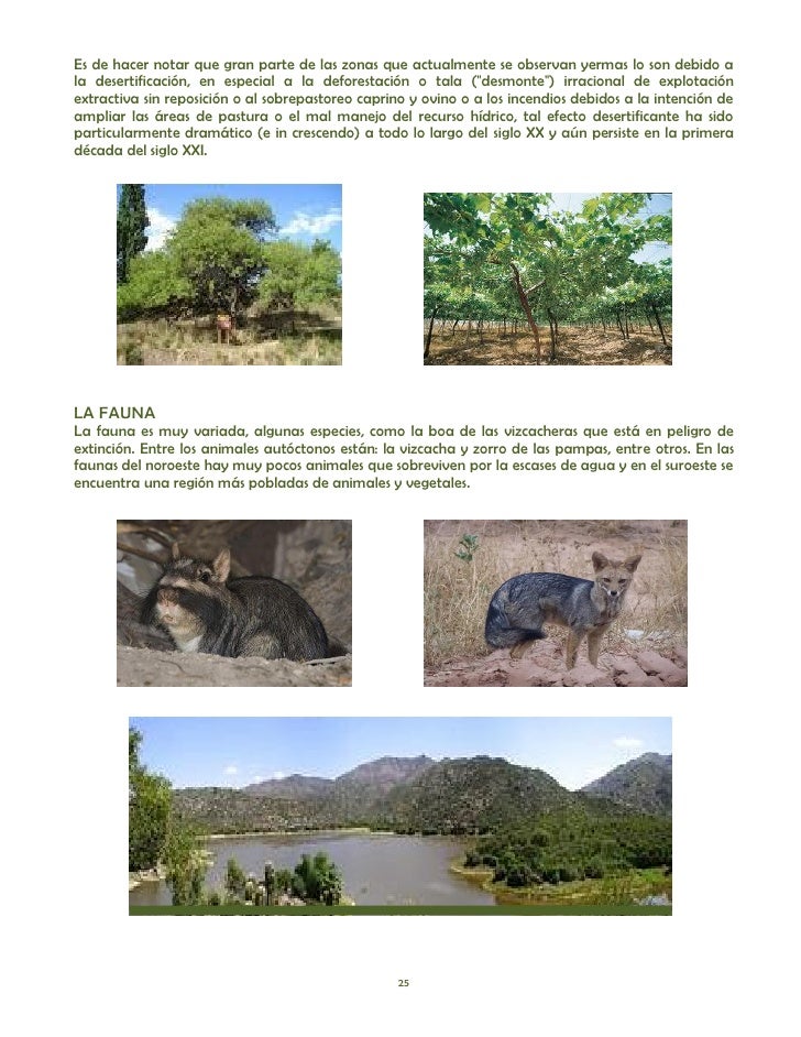 Red Trofica De La Selva Misionera Biologia Niveles Troficos