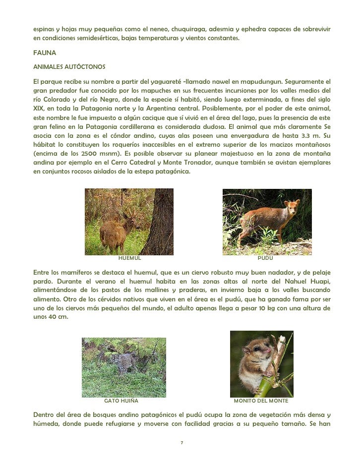 cadenas troficas en ecosistemas ecosistemas y redes troficas cadenas troficas en ecosistemas ecosistemas y redes troficas