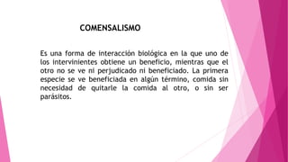 Es una forma de interacción biológica en la que uno de
los intervinientes obtiene un beneficio, mientras que el
otro no se ve ni perjudicado ni beneficiado. La primera
especie se ve beneficiada en algún término, comida sin
necesidad de quitarle la comida al otro, o sin ser
parásitos.
COMENSALISMO
 
