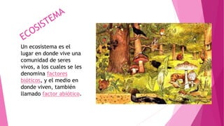 Un ecosistema es el
lugar en donde vive una
comunidad de seres
vivos, a los cuales se les
denomina factores
bióticos, y el medio en
donde viven, también
llamado factor abiótico.
 