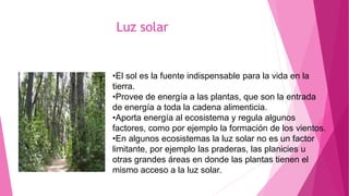 Luz solar
•El sol es la fuente indispensable para la vida en la
tierra.
•Provee de energía a las plantas, que son la entrada
de energía a toda la cadena alimenticia.
•Aporta energía al ecosistema y regula algunos
factores, como por ejemplo la formación de los vientos.
•En algunos ecosistemas la luz solar no es un factor
limitante, por ejemplo las praderas, las planicies u
otras grandes áreas en donde las plantas tienen el
mismo acceso a la luz solar.
 