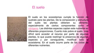 El suelo
El suelo en los ecosistemas cumple la función de
sustrato para las plantas. De la composición y estructura
del suelo las plantas obtienen su alimento,
especialmente de ciertos componentes como el
nitrógeno. Las distintas especies captan este nutriente en
diferentes proporciones. Cuanto más pobre el suelo, más
difícil será acceder al recurso por parte de algunas
plantas, lo que puede restringir la presencia de algunas
especies y por consiguiente, modificar todo el
ecosistema. En el suelo ocurre parte de los ciclos de
diferentes nutrientes.
 