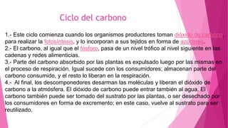 Ciclo del carbono
1.- Este ciclo comienza cuando los organismos productores toman dióxido de carbono,
para realizar la fotosíntesis, y lo incorporan a sus tejidos en forma de azúcares.
2.- El carbono, al igual que el fósforo, pasa de un nivel trófico al nivel siguiente en las
cadenas y redes alimenticias.
3.- Parte del carbono absorbido por las plantas es expulsado luego por las mismas en
el proceso de respiración. Igual sucede con los consumidores; almacenan parte del
carbono consumido, y el resto lo liberan en la respiración.
4.- Al final, los descomponedores desarman las moléculas y liberan el dióxido de
carbono a la atmósfera. El dióxido de carbono puede entrar también al agua. El
carbono también puede ser tomado del sustrato por las plantas, o ser desechado por
los consumidores en forma de excremento; en este caso, vuelve al sustrato para ser
reutilizado.
 