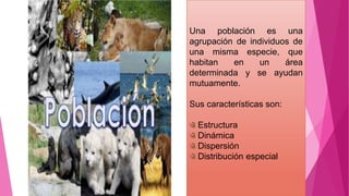 Una población es una
agrupación de individuos de
una misma especie, que
habitan en un área
determinada y se ayudan
mutuamente.
Sus características son:
Estructura
Dinámica
Dispersión
Distribución especial
 