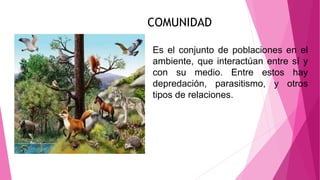 Es el conjunto de poblaciones en el
ambiente, que interactúan entre sí y
con su medio. Entre estos hay
depredación, parasitismo, y otros
tipos de relaciones.
COMUNIDAD
 