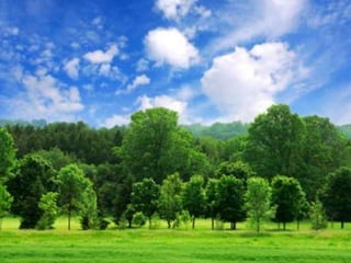 Ecosistema terrestre