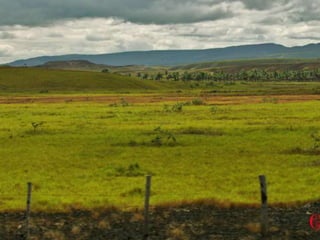 Ecosistema terrestre