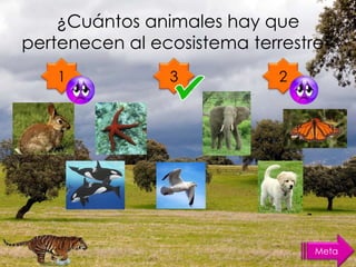 ¿Cuántos animales hay que
pertenecen al ecosistema terrestre?
1 3 2
Meta