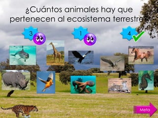 ¿Cuántos animales hay que
pertenecen al ecosistema terrestre?
3 1 4
Meta