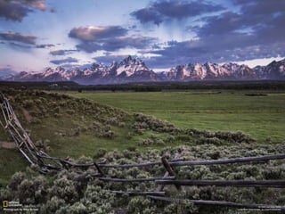 Ecosistema terrestre