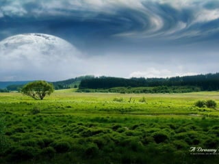 Ecosistema terrestre