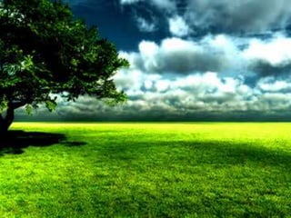 Ecosistema terrestre