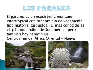 El páramo es un ecosistema montano
intertropical con predominio de vegetación
tipo matorral (arbustos). El más conocido es
el páramo andino de Sudamérica, pero
también hay páramo en
Centroamérica, África Oriental y Nueva
Guinea.
 