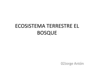 ECOSISTEMA TERRESTRE EL
        BOSQUE




                02Jorge Antón
 