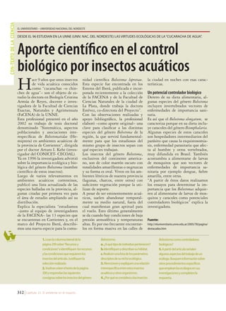 NIP: 222506 - Pág.: 312 - BIO

CON-TEXTO DE LA CIENCIA

M: 10475 C1: 10000 C2: 10000 C3: 10000 C4: 10000

EL UNIVERSITARIO  UNIVERSIDAD NACIONAL DEL NORDESTE

DESDE EL 96 ESTUDIAN EN LA UNNE (UNIV. NAC. DEL NORDESTE) LAS VIRTUDES ECOLÓGICAS DE LA “CUCARACHA DE AGUA”.

Aporte cientíﬁco en el control
biológico por insectos acuáticos

H

a

ace 9 años que unos insectos
de vida acuática conocidos
como “cucarachas –o chinches de agua”– son el objeto de estudio la doctora en Biología Cristina
Armúa de Reyes, docente e investigadora de la Facultad de Ciencias
Exactas, Naturales y Agrimensura
(FaCENA) de la UNNE.
Esta profesional presentó en el año
2002 su trabajo de tesis doctoral
denominado “Sistemática, aspectos
poblacionales y asociaciones interespecíficas de Belostomatidae (Hemiptera) en ambientes acuáticos de
la provincia de Corrientes“, dirigida
por el doctor Arturo I. Kehr (investigador del CONICET- CECOAL).
Ya en 1996 la investigadora advirtió
sobre la importancia ecológica y biológica del género Belostoma (nombre
científico de estos insectos).
Luego de varios relevamientos en
ambientes acuáticos correntinos,
publicó una lista actualizada de las
especies halladas en la provincia, algunas citadas por primera vez para
el área de estudio ampliando así su
distribución.
Explica la especialista “estudiamos
–junto al equipo de investigadores
de la FACENA– las 13 especies que
se encuentran en Corrientes y, en el
marco del Proyecto Iberá, describimos una nueva especie para la comu-

nidad científica Belostoma lopretoae.
Esta especie fue encontrada en los
Esteros del Iberá, publicada e incorporada recientemente a la colección
de la FACENA y de la Facultad de
Ciencias Naturales de la ciudad de
La Plata, donde trabaja la doctora
Estévez, co-directora del Proyecto”.
Con las observaciones realizadas y
apoyo bibliográfico, la profesional
elaboró –como aporte original– una
clave para clasificar a las distintas
especies del género Belostoma de la
región, la que servirá fundamentalmente para que los estudiosos del
mismo grupo de insectos sepan con
qué especies trabajan.
Los insectos del género Belostoma,
exclusivos del continente americano, son de color marrón oscuro con
tonalidades amarillentas o negruzcas
y su forma es oval. Viven en los ambientes lénticos de nuestra provincia
(lagunas, charcos, entre otros) con
suficiente vegetación porque la utilizan de soporte.
A pesar de ser eminentemente acuáticos, suelen abandonar temporalmente su medio natural, fuera del
cual manifiestan gran aptitud para
el vuelo. Esto último generalmente
se da cuando hay condiciones de baja
presión atmosférica y temperaturas
altas. Es por eso frecuente encontrarlos en forma masiva en las calles de

1. Lean la columna lateral de la
página 299 sobre“Recursos y
condiciones”e identifiquen los recursos
y las condiciones que requieren los
insectos del artículo. Justifiquen la
selección realizada.
2. Vuelvan a leer el texto de la página
300 y respondan las siguientes
consignas sobre los insectos del género

ADES
ACTIVID

312

la ciudad en noches con esas características.

Un potencial controlador biológico
Dentro de su dieta alimentaria, algunas especies del género Belostoma
incluyen invertebrados vectores de
enfermedades de importancia sanitaria.
Es así que el Belostoma elongatum, se
caracteriza porque en su dieta incluye caracoles del género Biomphalaria.
Algunas especies de estos caracoles
son hospedadores intermediarios del
parásito que causa la esquistosomiasis, enfermedad parasitaria que afecta al hombre y otros vertebrados,
muy difundida en Brasil. También
acostumbra a alimentarse de larvas
de mosquitos que son vectores de
enfermedades de importancia sanitaria por ejemplo dengue, fiebre
amarilla, entre otras.
“A partir de éstos datos realizamos
los ensayos para determinar la importancia que los Belostomas adquieren al alimentarse de larvas de mosquitos y caracoles como potenciales
controladores biológicos” explica la
investigadora.
Fuente:
http://eluniversitario.unne.edu.ar/2005/78/pagina/
destacados.htm

Belostoma.
a. ¿A qué tipo de individuo pertenecen?
b. Identifiquen y describan su hábitat.
c. Realicen una lista de los parámetros
descriptos de su nicho ecológico.
3. Mencionen y expliquen una relación
interespecífica entre estos insectos
acuáticos y otros organismos.
4. ¿Por qué se considera a los insectos

Belostoma como controladores
biológicos?
5. A partir del artículo señalen
algunos aspectos del trabajo de un
ecólogo. Busquen información sobre
otros procedimientos específicos
que emplean los ecólogos en sus
investigaciones y completen la
respuesta.

Capítulo 13. El ambiente en el espacio.

294_313_Biologia6_C013.indd 312

Artes Gráficas Rioplatense S.A. • Preprensa
Tacuarí 1850 - Cap. Fed. - C1139AAN - Tel: 4307-3991 - Fax: 4307-7123
e-mail: preprensa@agr.com.ar - web: http://preprensa.agr.com.ar

9/17/07 2:12:50 PM

*0000-222506-312-BIO-9*

 