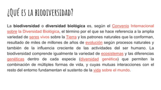 ¿Qué es la biodiversidad?
La biodiversidad o diversidad biológica es, según el Convenio Internacional
sobre la Diversidad Biológica, el término por el que se hace referencia a la amplia
variedad de seres vivos sobre la Tierra y los patrones naturales que la conforman,
resultado de miles de millones de años de evolución según procesos naturales y
también de la influencia creciente de las actividades del ser humano. La
biodiversidad comprende igualmente la variedad de ecosistemas y las diferencias
genéticas dentro de cada especie (diversidad genética) que permiten la
combinación de múltiples formas de vida, y cuyas mutuas interacciones con el
resto del entorno fundamentan el sustento de la vida sobre el mundo.
 