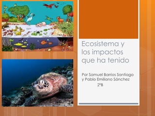 Ecosistema y
los impactos
que ha tenido
Por Samuel Barrios Santiago
y Pablo Emiliano Sánchez
2ºB
 