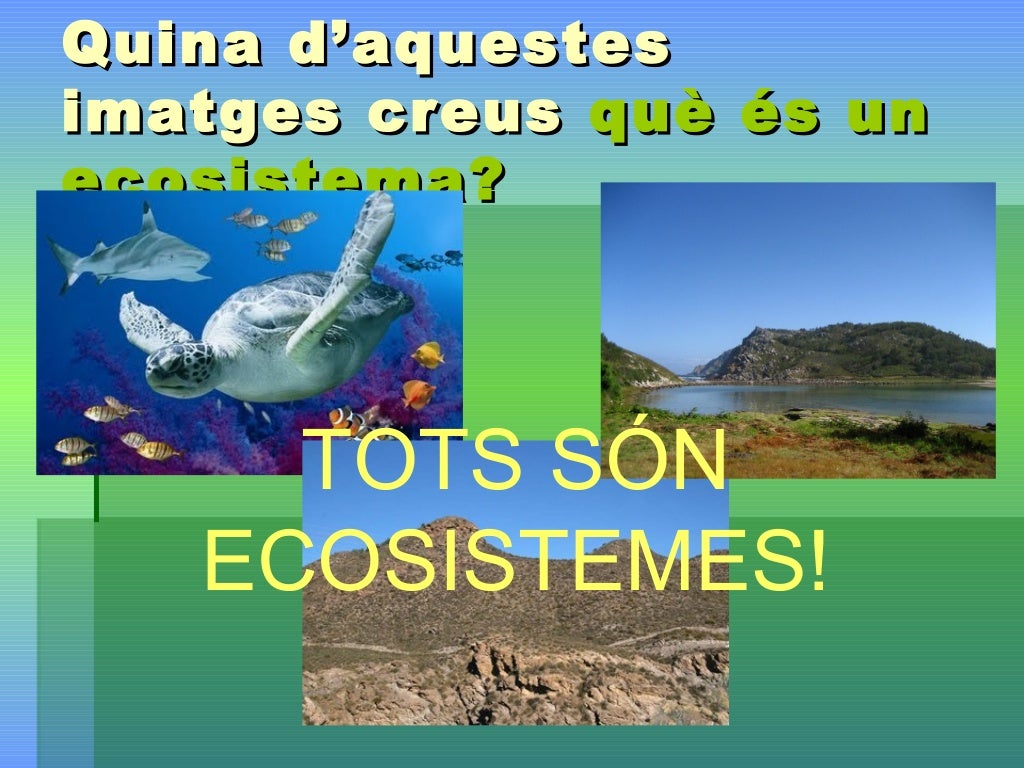 Ecosistemes
