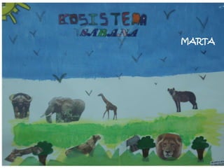 MARTA
 
