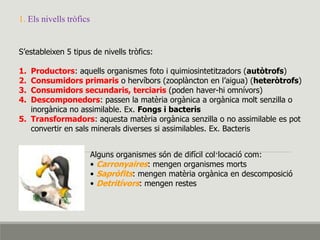 1. Els nivells tròfics
S’estableixen 5 tipus de nivells tròfics:
1. Productors: aquells organismes foto i quimiosintetitzadors (autòtrofs)
2. Consumidors primaris o hervíbors (zooplàncton en l’aigua) (heteròtrofs)
3. Consumidors secundaris, terciaris (poden haver-hi omnívors)
4. Descomponedors: passen la matèria orgànica a orgànica molt senzilla o
inorgànica no assimilable. Ex. Fongs i bacteris
5. Transformadors: aquesta matèria orgànica senzilla o no assimilable es pot
convertir en sals minerals diverses si assimilables. Ex. Bacteris
Alguns organismes són de difícil col·locació com:
• Carronyaires: mengen organismes morts
• Sapròfits: mengen matèria orgànica en descomposició
• Detritívors: mengen restes
 