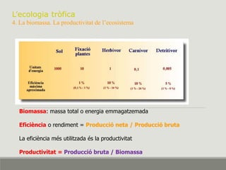 L’ecologia tròfica
4. La biomassa. La productivitat de l’ecosistema
Biomassa: massa total o energia emmagatzemada
Eficiència o rendiment = Producció neta / Producció bruta
La eficiència més utilitzada és la productivitat
Productivitat = Producció bruta / Biomassa
 