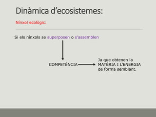 Dinàmica d’ecosistemes:
Nínxol ecològic:
Si els nínxols se superposen o s’assemblen
COMPETÈNCIA
Ja que obtenen la
MATÈRIA I L’ENERGIA
de forma semblant.
 