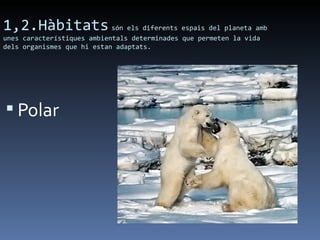 1,2.Hàbitats són els diferents espais del planeta amb
unes característiques ambientals determinades que permeten la vida
dels organismes que hi estan adaptats.




 Polar
 