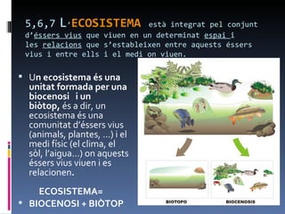 5,6,7   L’ECOSISTEMA        està integrat pel conjunt
 d’éssers vius que viuen en un determinat espai i
 les relacions que s’estableixen entre aquests éssers
 vius i entre ells i el medi on viuen.

 Un ecosistema és una
  unitat formada per una
  biocenosi i un
  biòtop, és a dir, un
  ecosistema és una
  comunitat d’éssers vius
  (animals, plantes, …) i el
  medi físic (el clima, el
  sòl, l’aigua…) on aquests
  éssers vius viuen i es
  relacionen.
    ECOSISTEMA=
 BIOCENOSI + BIÒTOP
 