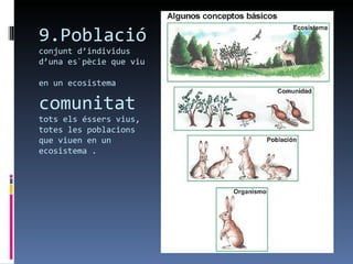 9.Població
conjunt d’individus
d’una es`pècie que viu

en un ecosistema

comunitat
tots els éssers vius,
totes les poblacions
que viuen en un
ecosistema .
 