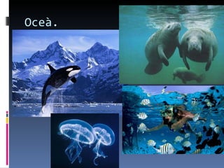 Oceà.
 
