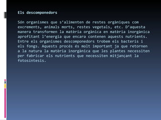 Els descomponedors

Són organismes que s’alimenten de restes orgàniques com
excrements, animals morts, restes vegetals, etc. D’aquesta
manera transformen la matèria orgànica en matèria inorgànica
aprofitant l’energia que encara contenen aquests nutrients.
Entre els organismes descomponedors trobem els bacteris i
els fongs. Aquests procés és molt important ja que retornen
a la natura la matèria inorgànica que les plantes necessiten
per fabricar els nutrients que necessiten mitjançant la
fotosíntesis.
 