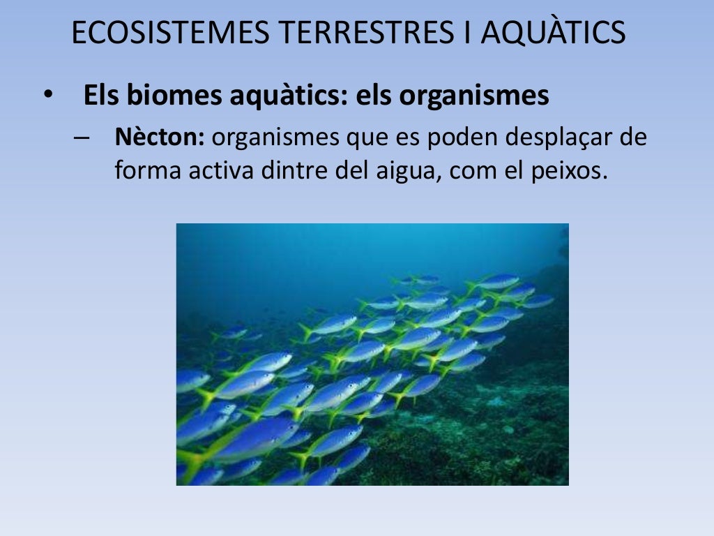 Ecosistemes aquatics