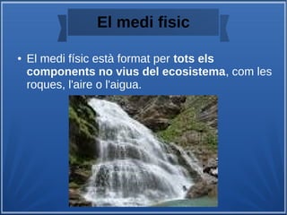 El medi fisic
● El medi físic està format per tots els
components no vius del ecosistema, com les
roques, l'aire o l'aigua.
 