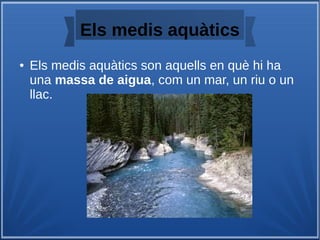 Els medis aquàtics
● Els medis aquàtics son aquells en què hi ha
una massa de aigua, com un mar, un riu o un
llac.
 