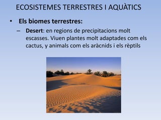 ECOSISTEMES TERRESTRES I AQUÀTICS
• Els biomes terrestres:
– Desert: en regions de precipitacions molt
escasses. Viuen plantes molt adaptades com els
cactus, y animals com els aràcnids i els rèptils

 