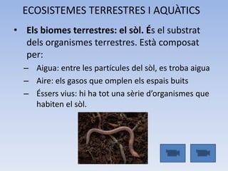ECOSISTEMES TERRESTRES I AQUÀTICS
• Els biomes terrestres: el sòl. És el substrat
dels organismes terrestres. Està composat
per:
– Aigua: entre les partícules del sòl, es troba aigua
– Aire: els gasos que omplen els espais buits
– Éssers vius: hi ha tot una sèrie d’organismes que
habiten el sòl.

 