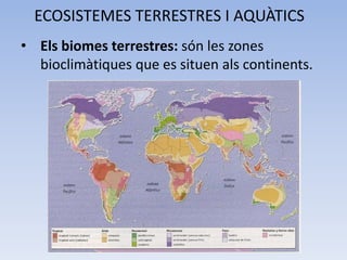 ECOSISTEMES TERRESTRES I AQUÀTICS
• Els biomes terrestres: són les zones
bioclimàtiques que es situen als continents.

 