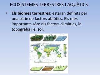 ECOSISTEMES TERRESTRES I AQUÀTICS
• Els biomes terrestres: estaran definits per
una sèrie de factors abiòtics. Els més
importants són: els factors climàtics, la
topografia i el sol.

 