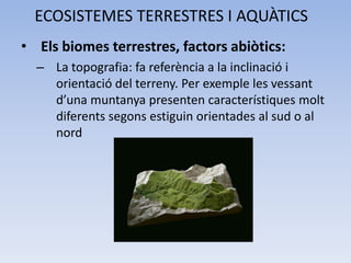 ECOSISTEMES TERRESTRES I AQUÀTICS
• Els biomes terrestres, factors abiòtics:
– La topografia: fa referència a la inclinació i
orientació del terreny. Per exemple les vessant
d’una muntanya presenten característiques molt
diferents segons estiguin orientades al sud o al
nord

 