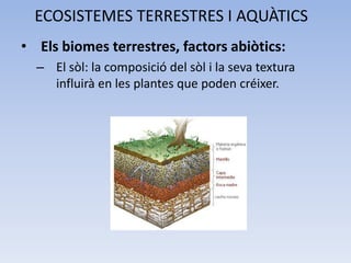 ECOSISTEMES TERRESTRES I AQUÀTICS
• Els biomes terrestres, factors abiòtics:
– El sòl: la composició del sòl i la seva textura
influirà en les plantes que poden créixer.

 