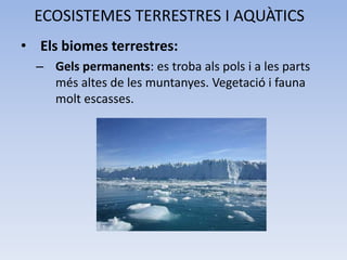 ECOSISTEMES TERRESTRES I AQUÀTICS
• Els biomes terrestres:
– Gels permanents: es troba als pols i a les parts
més altes de les muntanyes. Vegetació i fauna
molt escasses.

 
