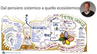 Dal pensiero sistemico a quello ecosistemico
 