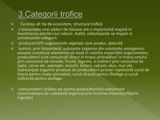  Ca orice alt tip de ecosistem, structura trofică
 a biocenozei unei păduri de foioase are o importantă majoră in
mentinerea echilibrului naturii. Astfel, vietuitoarele se impart in
urmatoarele categorii:
 -productorii(P)-organismele vegetale care produc, datorită
 luminii, prin fotosinteză, substante organice din substante anorganice:
aceasta constituie elementul de bază in nutritia majoritătii organismelor;
producătorii sunt consumati direct in hrana animalelor/ in hrana omului
prin consumul de cereale, fructe, legume, si indirect prin consumul de
lapte, carne etc. exemple: muschi, licheni, salcam, alun, mur etc.
Substanţele organice produse de producătorii primari reprezintă sursă de
hrană pentru toate animalele; sursă directă pentru fitofage şi sursă
indirectă pentru zoofage.
 -consumatorii (trăiesc pe seama producătorilor)-vietuitoare
consumatoare de substantă organică prin hranirea heterotrofă(prin
ingestie)
 